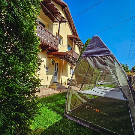 Отель Alpine Bliss Синая Экстерьер фото